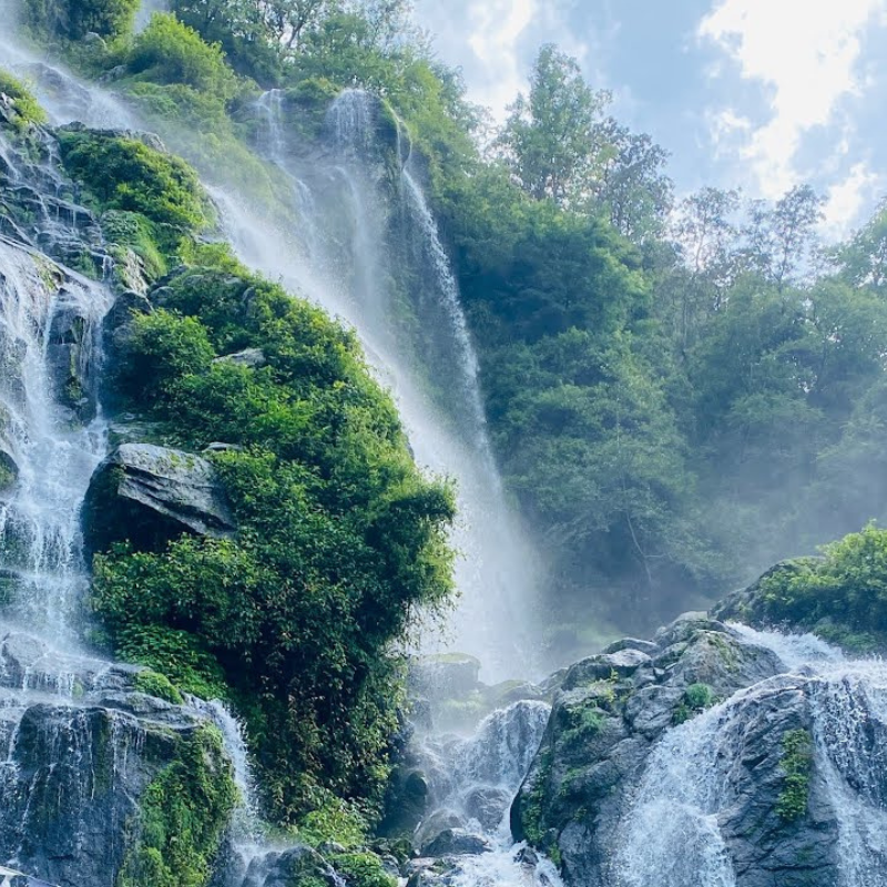 images/insta/Himachal Tour Package 7 Nights 8 Days 5.png